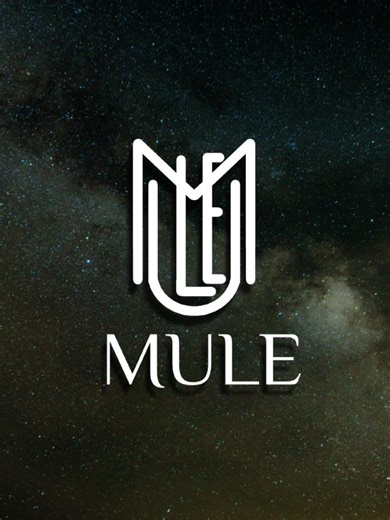 Professional Logo Design and Full Branding Services