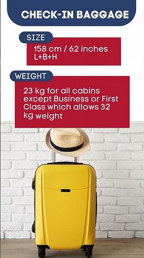 American Airlines Check in Baggage Allowance Policy #checkinbaggage #americanairlines