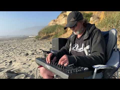 Moog Messenger In The Wild