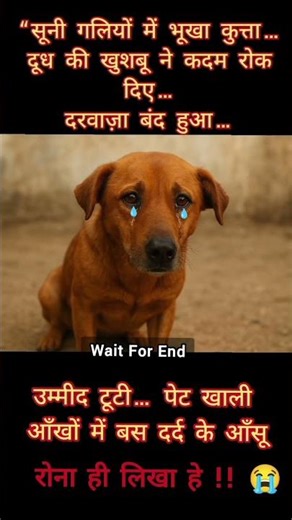 Sad Dog feelings 😞😞 #sad #trending #shorts #saddog