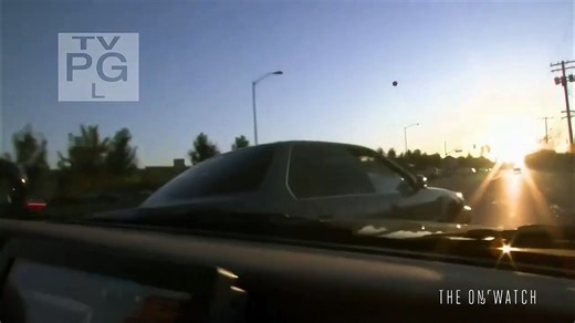 Cops S29 zebra intro