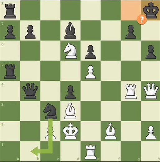 Bobby Fischer's Brilliant Chess Moves