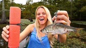 Catfish noodling with big live bait leads to harvest