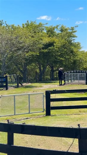 I want you to know this: you’re not failing. You’re changing. So many riders feel this way —you remember sitting deeply, moving fluidly, balancing effortlessly…and suddenly your body feels stiffer, slower to respond, harder to control. You’re still the same rider. Your body just needs different support than it once did. Aging, hormones, stress, life… they all shift how your muscles fire, how you stabilise, how quickly you recover. It’s not a decline — it’s an invitation to train differently. And