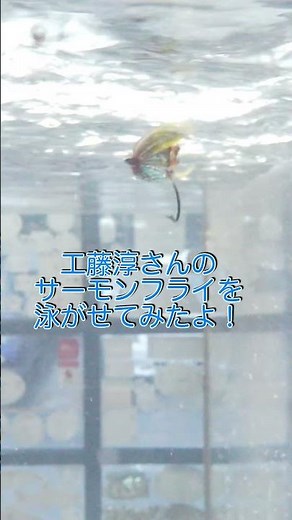 世界初映像！？サーモンフライを泳がせた！ #工藤淳 #フライタイイングスクール #鱒夢 #サーモンフライ #タイイング