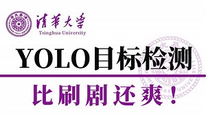吹爆！这绝对2025最适合入门的YOLO目标检测算法教程，100集算法原理 项目实战，通俗易懂，零基础也能轻松学会！-深度学习|计算机视觉|YOLO