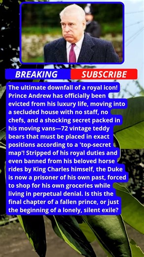 Prince Andrew’s DEVASTATING Downfall! 72 Teddy Bears & No Staff? 😱 #shorts #royalfamily