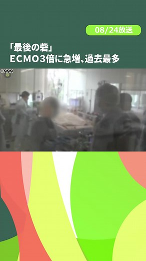 8月24日放送『news zero』より。#日テレnews