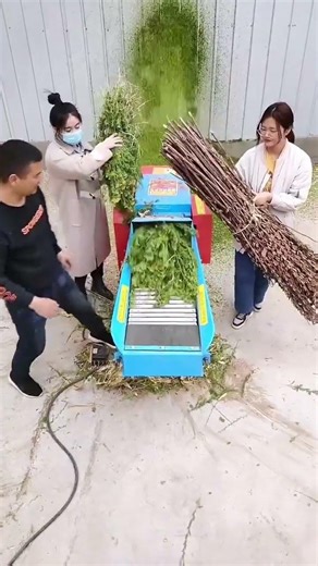 Livestock Chaff Cutter and Crusher Machine for Farm Use Grass Straw Corn Stalk Feed Cutting Grinding