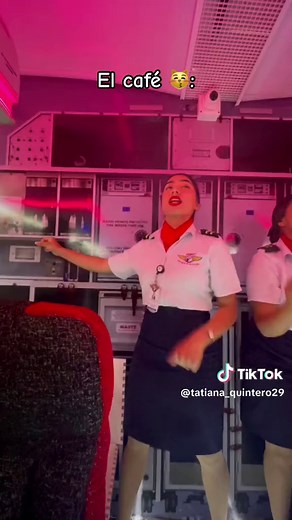 ¿Qué hace una Azafata en un Vuelo? Descubre sus Tareas y Requisitos