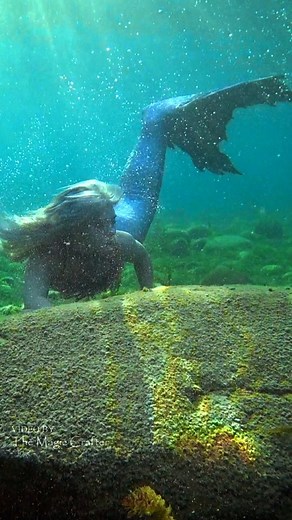 Brittany Adams | A mermaid swimming up to a big rock 🪨 Because mermaids like big rocks... at least this one does! Especially if they're covered in moss or... | Instagram