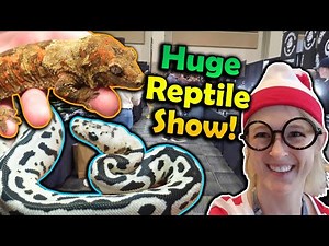 Attending the Tinley Park NARBC October 2022!