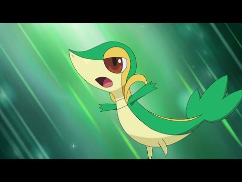 All Ash's Snivy moves
