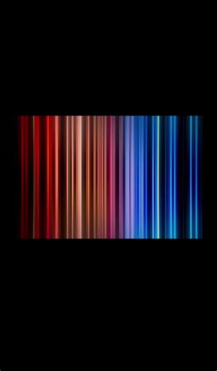 Netflix’s new announcement 👀 #pokemon #netflix #whatnot #fyp #pokemontcg