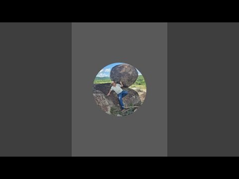 fui fazenda Walter Marques está ao vivo!