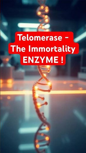 Telomerase - The Immortality Enzyme!