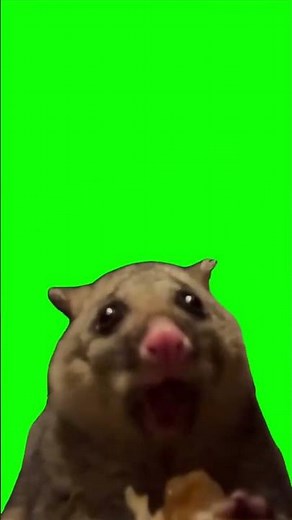 Smacking Lips Meme Green Screen