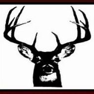 Stages of Deer Antler Growth | Whitetail Antler Development