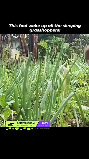 8.8K views · 15 reactions | If you like Explosion Videos:↴ ⚙ We search the internet for the best explosion content and post it here. ⚒ Check our Posts & Find Your Favorite video ☛ DM us for removal or credit #explosion #explosion #gasexplosion #boom #disaster #followｍe #follow #follow4follow #exploding #trendingaudio #trendingnow #reelinstagram #reelvideo #reelviral #kaboom #burst | Daily Blast Diary | Facebook