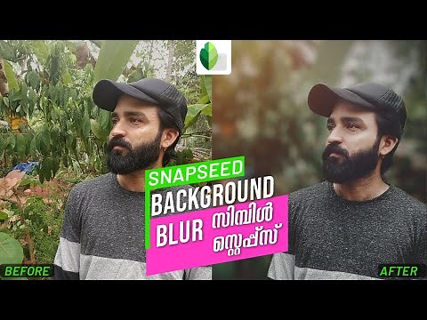 How to BLUR BACKGROUND with Snapseed in 3 steps | Snapseed Malayalam editing Tutorial New Tips
