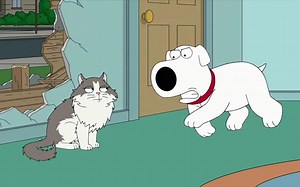 盘点Brian的狗狗瞬间1_哔哩哔哩_bilibili