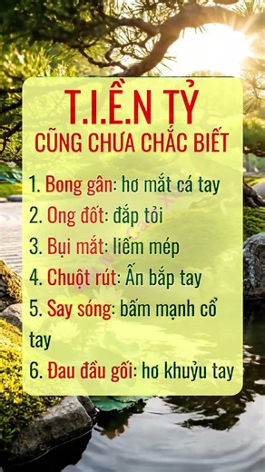 Bí Mật Kết Nối Cảm Xúc: Chìa Khóa Vàng Cho Sức Khỏe Tinh Thần Và Vẻ Đẹp Bền Vững