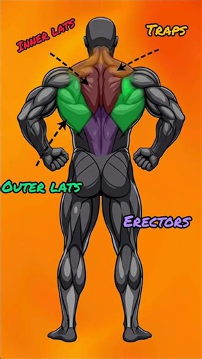 3 Back Exercises That Build V-Shape Fast