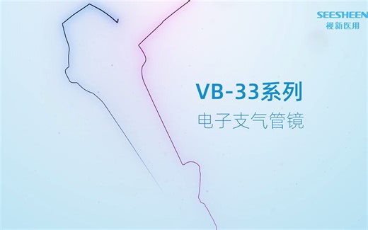 视新VB-33系列电子支气管镜