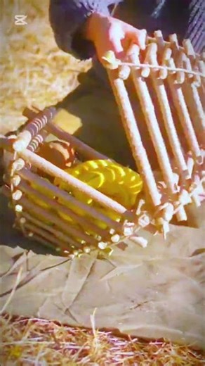 How to keep the fruits nicely #creativesurvival #experiment #outdoors #bushcraft #shorts #for