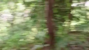 ပြည်သူတွေကို ဖမ်းဆီးလာတဲ့ အကြမ်းဖက်စစ်ကြောင်းကို စောင့်ကြိုတိုက်ခိုက်ရာ အကြမ်းဖက် စစ်သား ၁၅ ဦး သေပြီး ၃ ဦး ဒဏ်ရာရ ဇူလိုင် ၂၉၊၂၀၂၅ ပဲခူးတိုင်း၊ သာယာဝတီခရိုင်၊ အုတ်ဖိုမြို့နယ်၊ ချောင်းဂေါင်းအုပ်စု၊ ဆယ်ရွာနေပြည်သူတွေကို ဖမ်းဆီးလာတဲ့ အင်အား ၇၀ခန့်ပါ အကြမ်းဖက် စစ်ကြောင်းကို ဇူလိုင် ၂၄ ရက် မွန်းလွဲ ၃ နာရီ ၂၇ မိနစ်မှာ စောင့်ကြိုတိုက်ခိုက်ခဲ့ရာ အကြမ်းဖက်စစ်သား ၁၅ဦး သေဆုံးပြီး ၃ဦးဒဏ်ရာရတယ်လို့ သာယာဝတီခရိုင် တပ်ရင်း ၃၈ဝ၂ တပ်ခွဲ ၅ က သတင်းထုတ်ပြန်ပါတယ်။ ပြည်သူတွေကို ဖမ်းဆီးလာတဲ့ အကြမ်းဖက်စစ်ကြောင်းကို မင်းလ