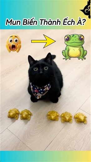 Nguy To, Mun Đột Biến Thành Ếch Quái Dị 🙀🐸