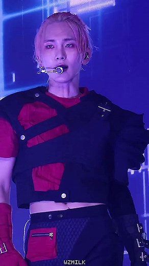 Key Alves Fan Fever - Kibum's Insane Shawol Adventure