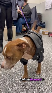 1.9K views · 77 reactions |   Lorna - A050044   Check out the...