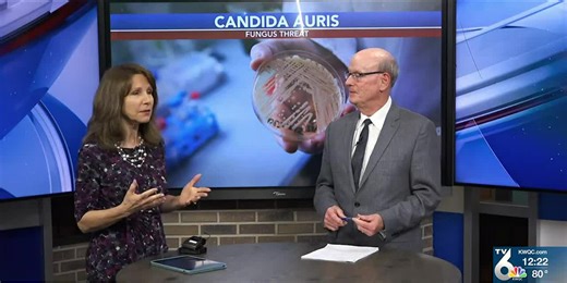 Why Candida aruis fungal infections are rising