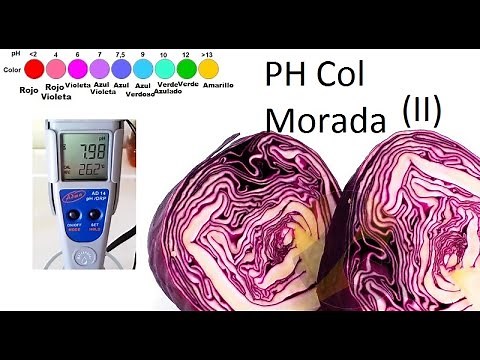 Como medir el PH con col morada (II)-Explicación química de la escala de colores
