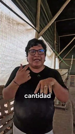 La porcicultura es de creativos