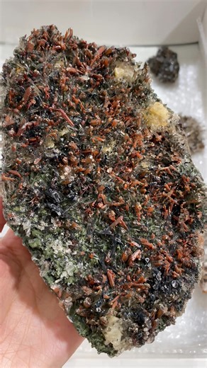 New arrivals #crystal #crystalhealing #tiktokshop #crystallovers #specimencollector