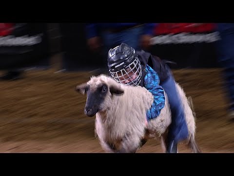 Mutton Bustin' highlights | San Antonio Rodeo | Feb. 16, 2022