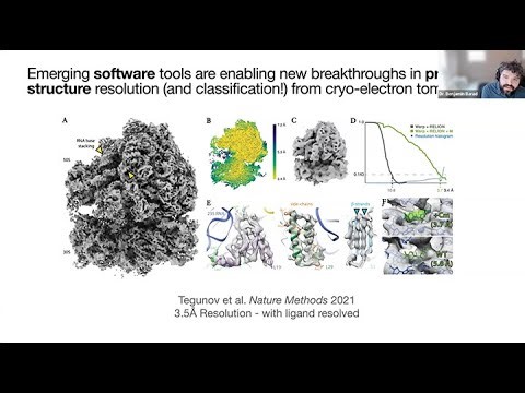 Webinar: Decoding cellular ultrastructure with cryo-electron tomography (CryoET)