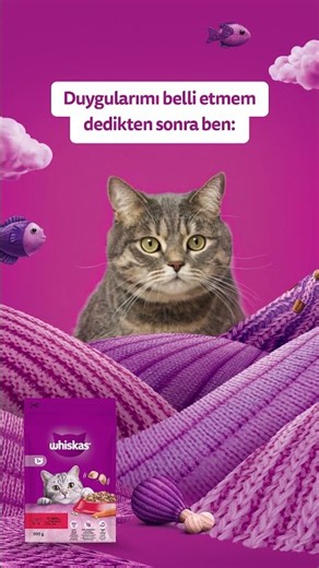 Whiskas Grrrland | Social Media Post - 3D Animation & Compositing