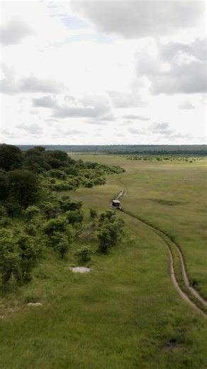 142 reactions | Set off on the ultimate safari adventure at Victoria...