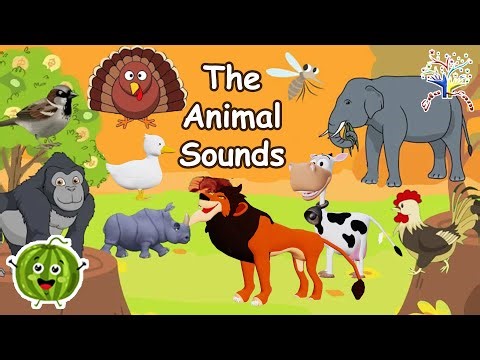 The Animal Sounds Song || What Animals Can You Find? || EduFam || Kids Songs and Nursery Rhymes ~