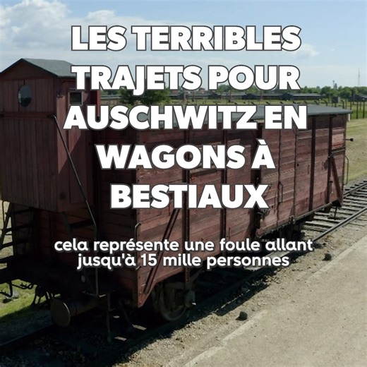 Les précieux témoignages des survivants d'Auschwitz nous apprennent les conditions terribles du transport en wagons à bestiaux... À voir sur RMC BFM Play : https://www.rmcbfmplay.com/thematiques/science-technologie?themeId=RefTile::593fe2b2-320d-405b-bdc2-6b68196a49e4 | RMC Découverte
