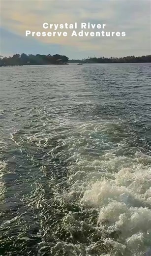 Crystal River Adventures on TikTok