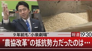The Real Battle Behind Rice Reform: Revisiting Koizumi's JA Clash Nine Years On