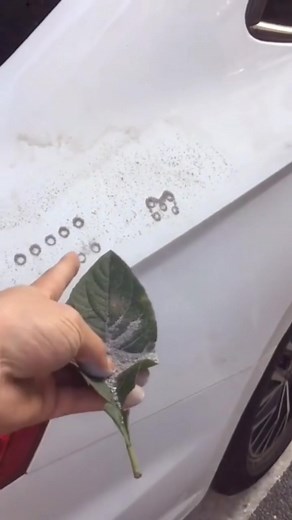 How to find if someone is tracking you