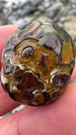 Explore the Beauty of Unique Agate Rocks