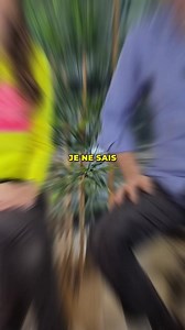 Comment on dit... « ça va » en langue des signes On a demandé à @Marie Experte Signe LSF Les fans de @JUL ça dit quoi Vous pensez qu’il sait #Santé #ApprendreSurTikTok #LangueDesSignes #Jul | Docteur Michel Cymes