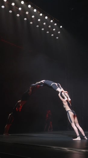 The pack dive into another week in Berlin. Feral, thrilling and quintessentially Circa. Wolf 📅 until 18 January 2026. 📍Chamäleon Theater, Berlin 🎥 by Chester Briscall-Harvey. Featuring artists of the Circa ensemble. | Circa Contemporary Circus
