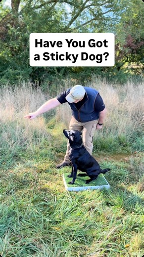 Have You Got a Sticky Dog? When your dog’s reluctant to retrieve, it usually means you’ve taught too much brakes and not enough accelerator. What you really want is your dog working in a state of excitement, so: ✔️ claws gripping the ground ✔️ tail wagging ✔️ eyes popping out of their head But remaining in control enough to wait until you send them. Not on a lead and not corkscrewed into the ground on shoot day. It should mean embracing your dog’s enthusiasm and helping them to work in that emot